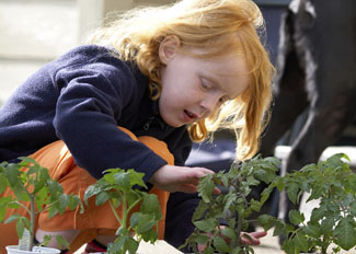 GIY - little GIYer planting